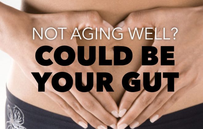 Aging and the gut: Healing with Collagen Hyaluronic Acid