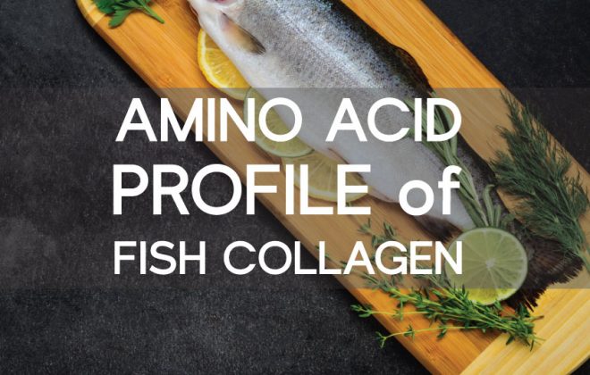 amino acid fish collagen beauty protein