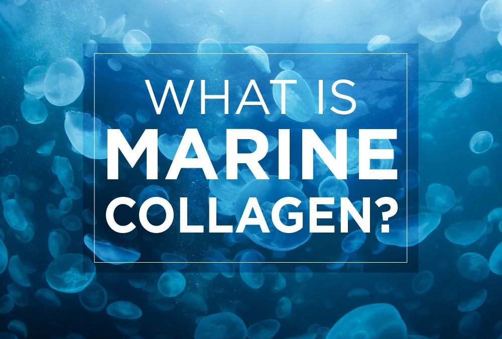 what is marine collagen