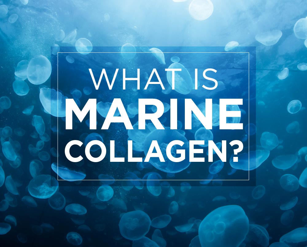 what is marine collagen